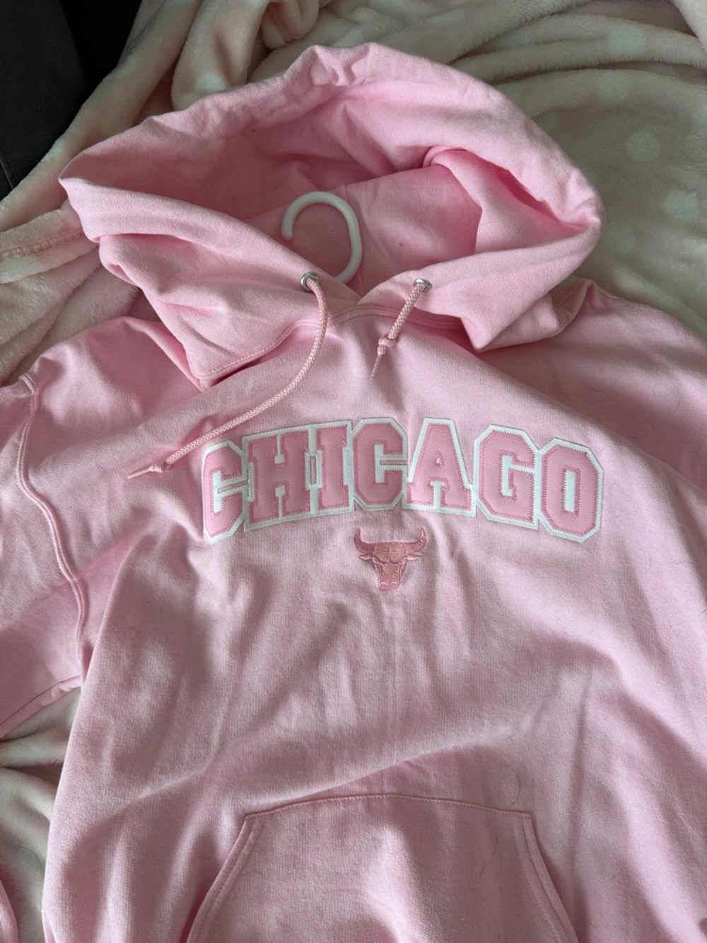 NBA Chicago Crewneck Hoodie in Light Pink